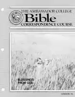 BCC-L16 (32)